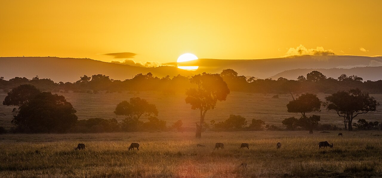 Savannah landscape in Kenya